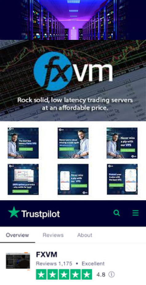 Best Forex Trading VPS-Best Forex VPS-Ultra-Fast Forex VPS-Low Latency VPS