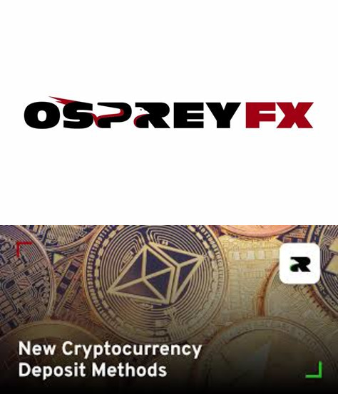 Osprey-FX Accepts USA Clients for Forex Trading STP ECN Execution
